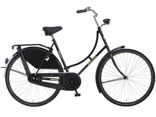 Pointer Glorie 3 speed